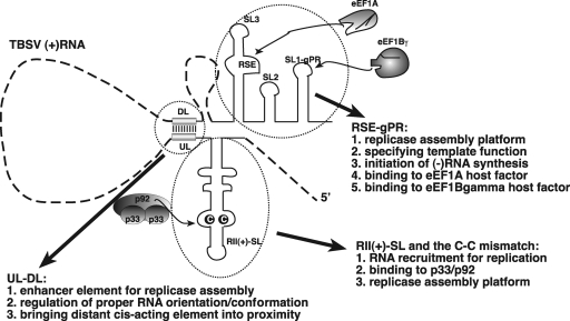 Fig 10