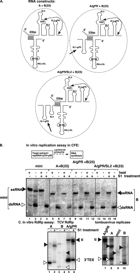 Fig 7