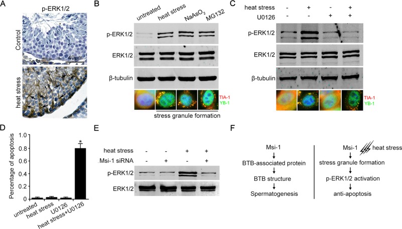 FIGURE 7: