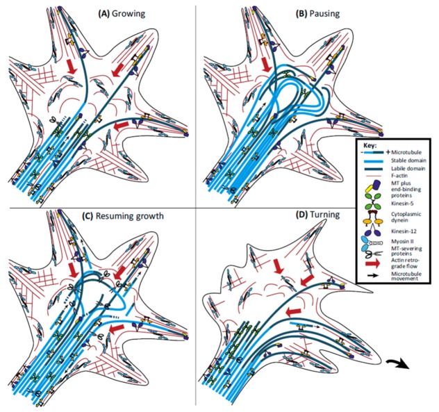 Figure 12