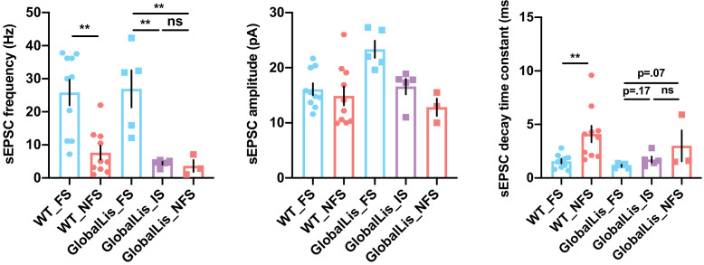 Figure 5—figure supplement 1.