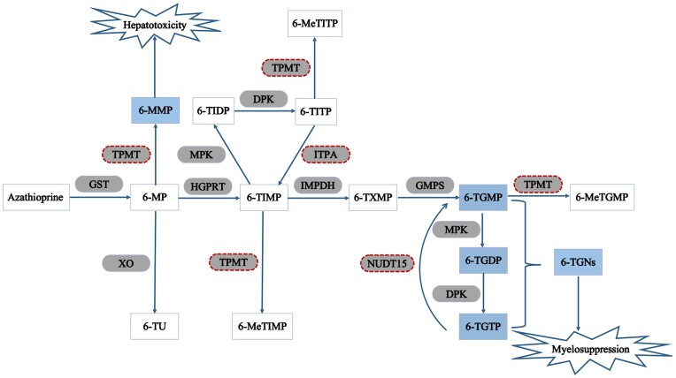 Figure 2.