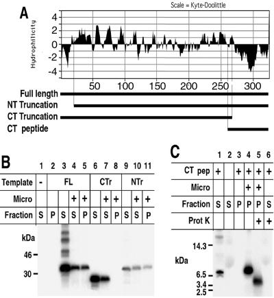 FIG. 8