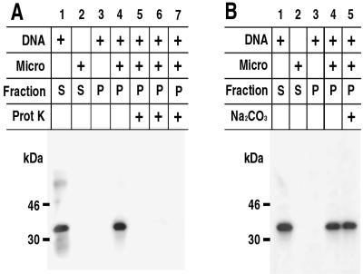 FIG. 6