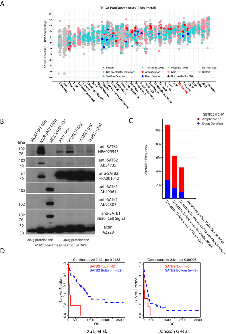 Figure 2—figure supplement 3.