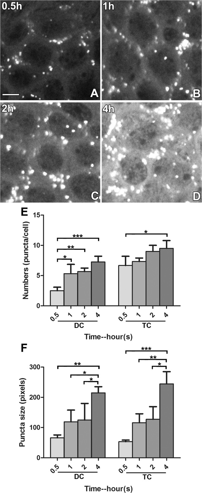 Fig 4