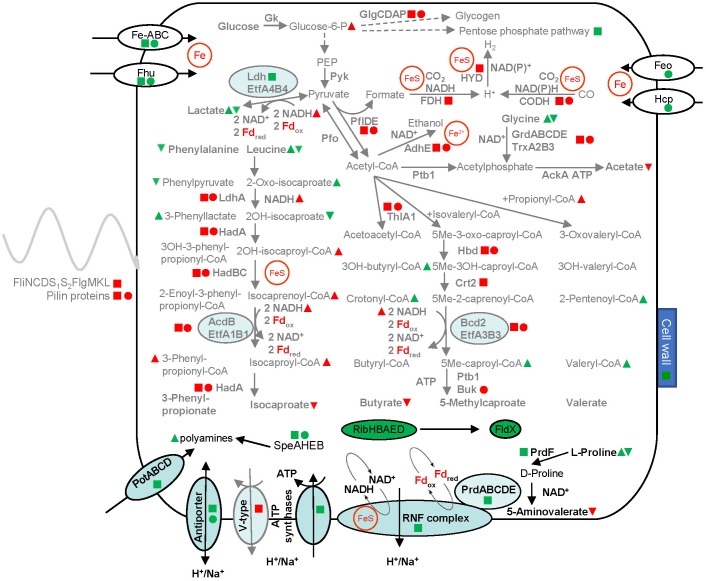 FIGURE 3