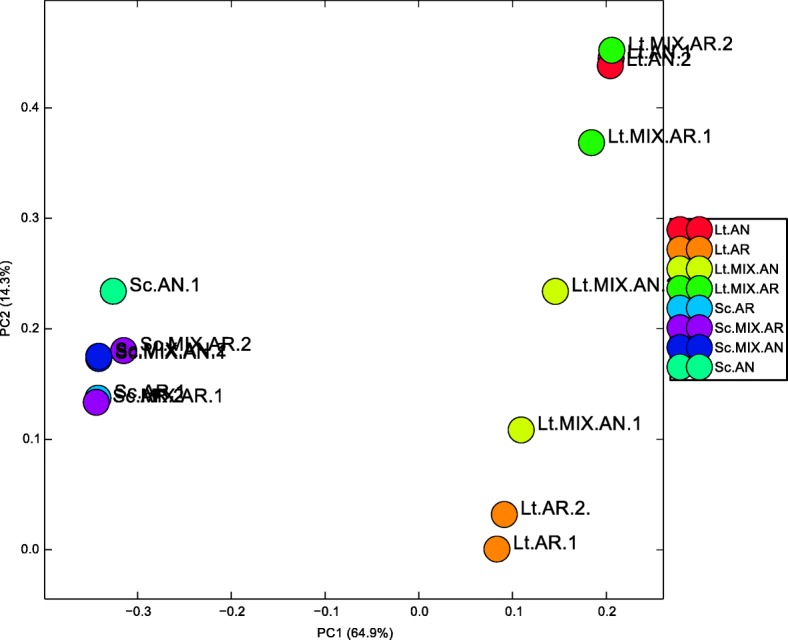 Fig. 2