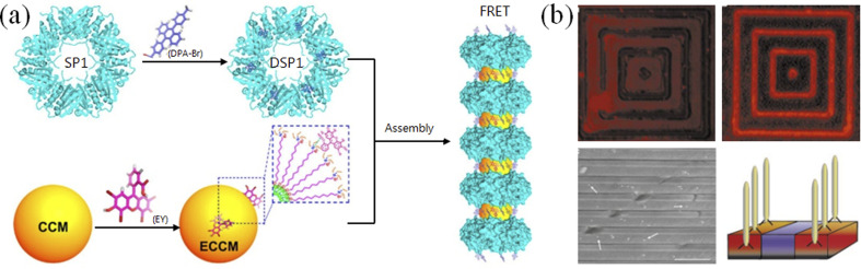 Fig. 4