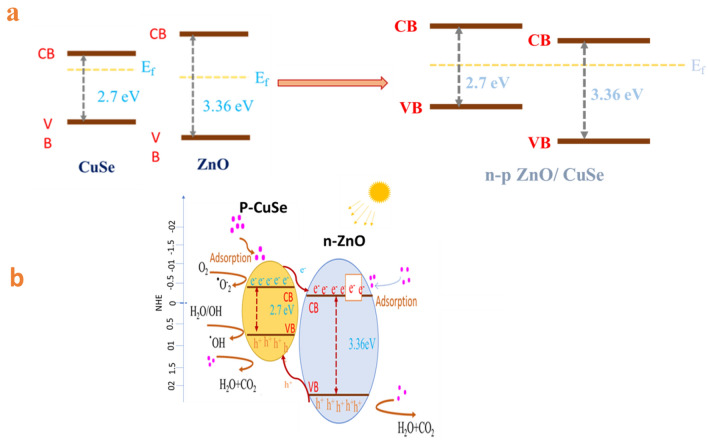 Figure 9