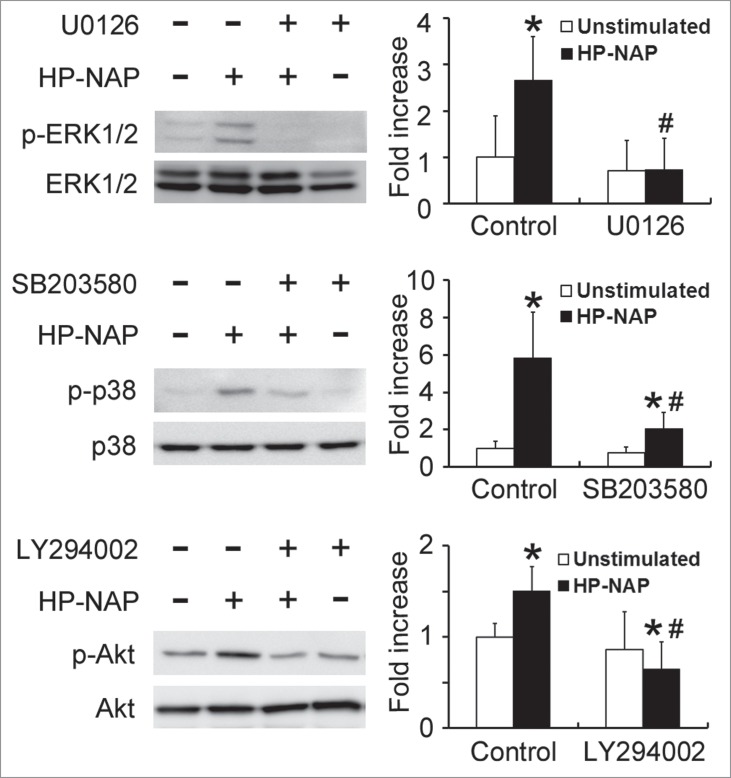 Figure 10.