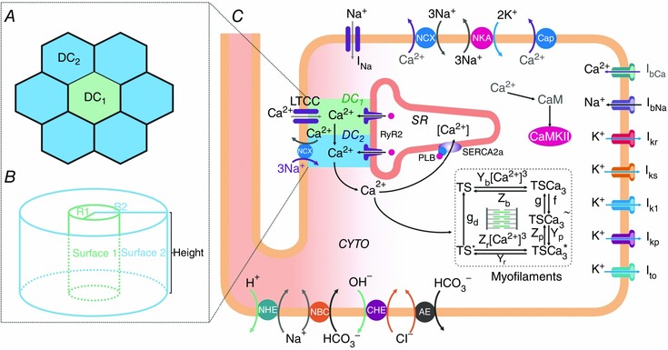 Figure 9