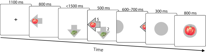 Figure 1—figure supplement 1.