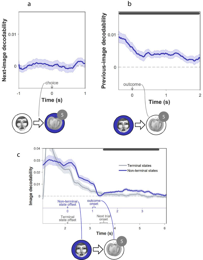 Figure 2—figure supplement 2.