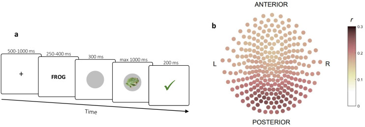 Figure 2—figure supplement 1.