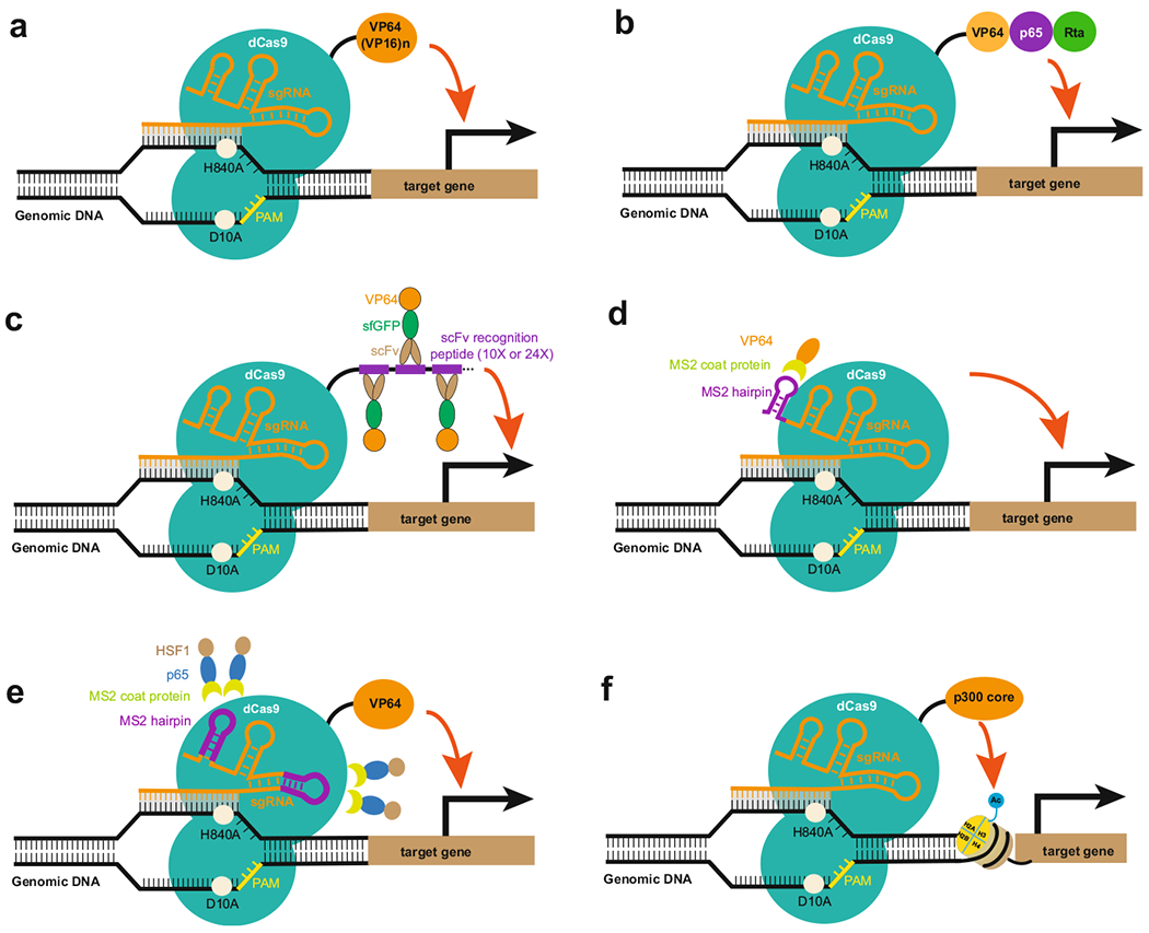 Fig. 10.2