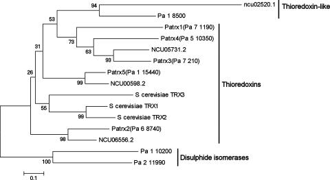 FIG. 1.