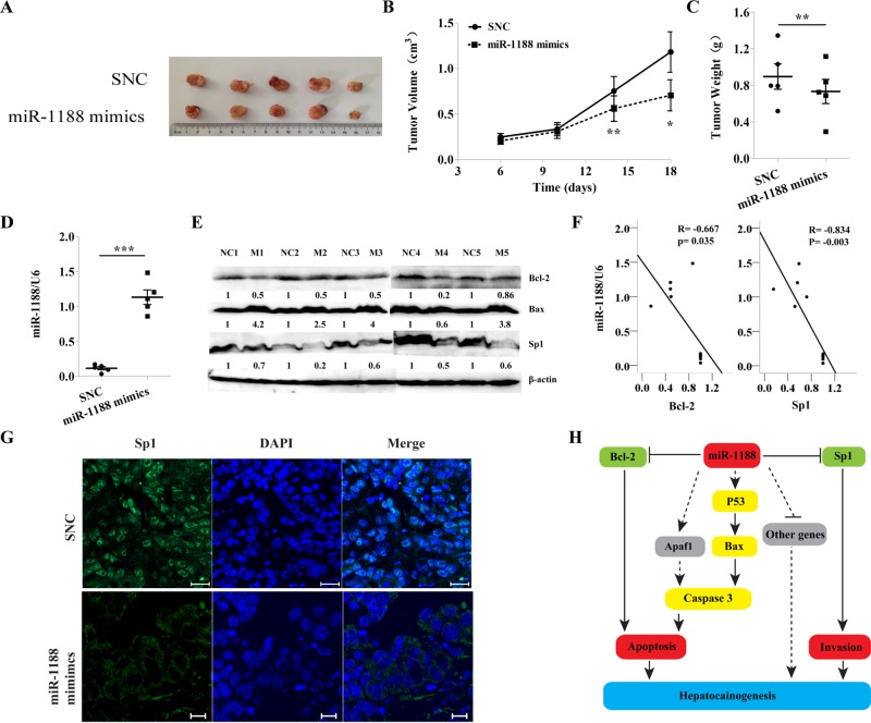 FIGURE 6: