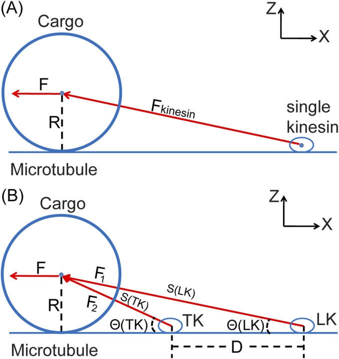 Fig. S7.