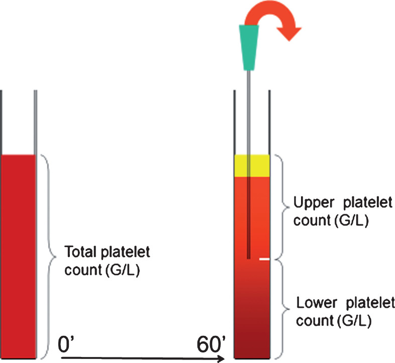 Fig.1