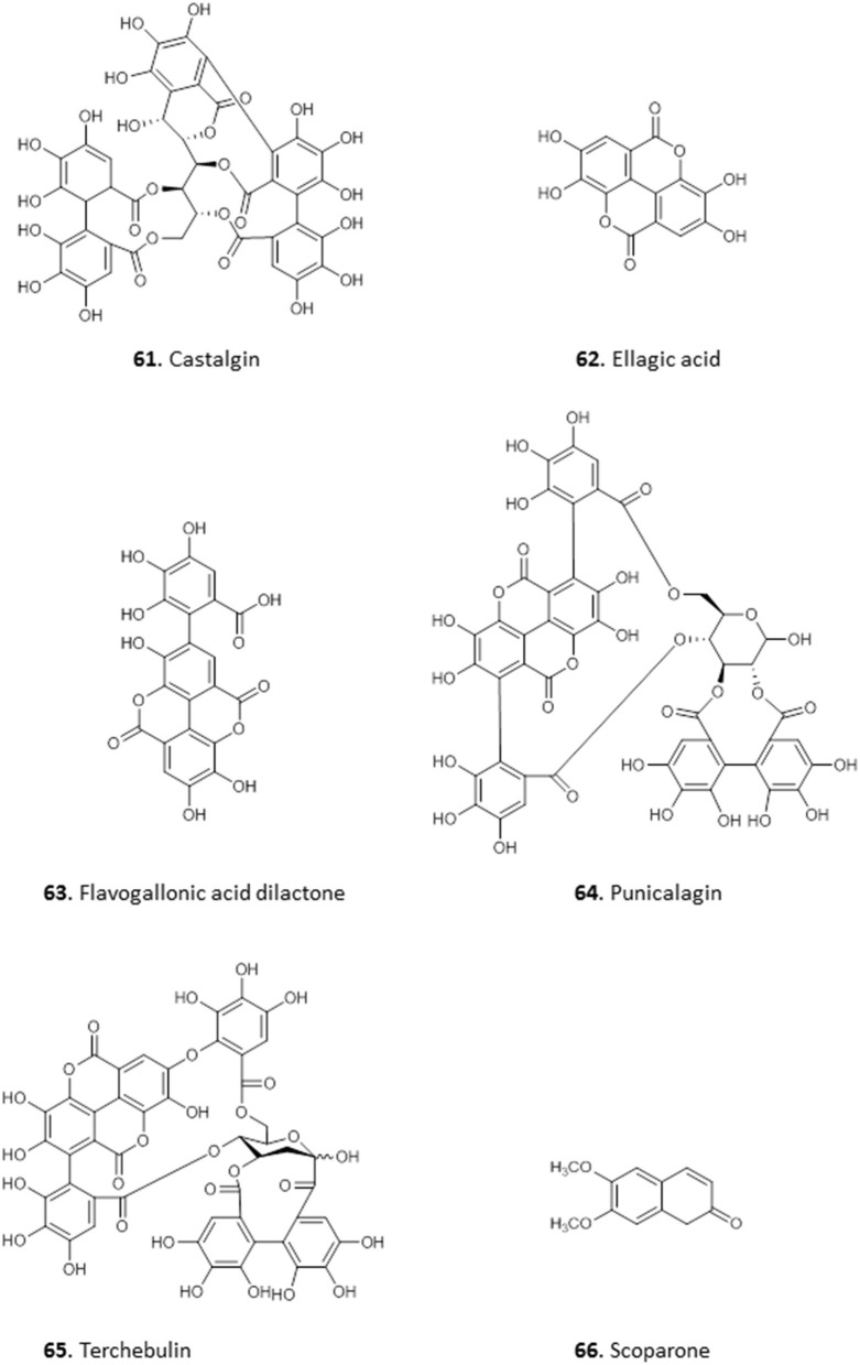 Figure 8