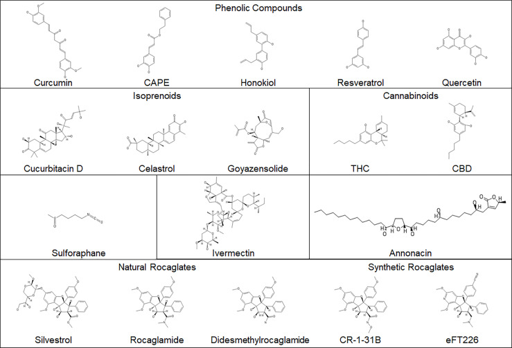 Figure 2