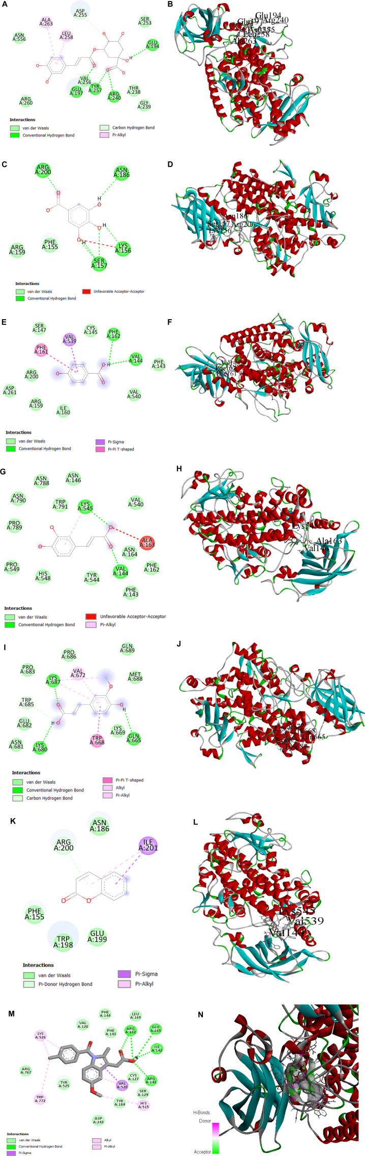 FIGURE 11