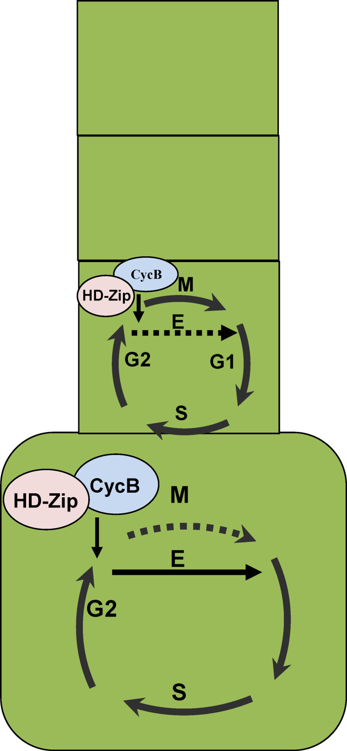 Fig. 3