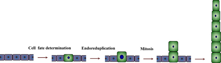 Fig. 2