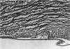 83