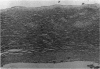 82