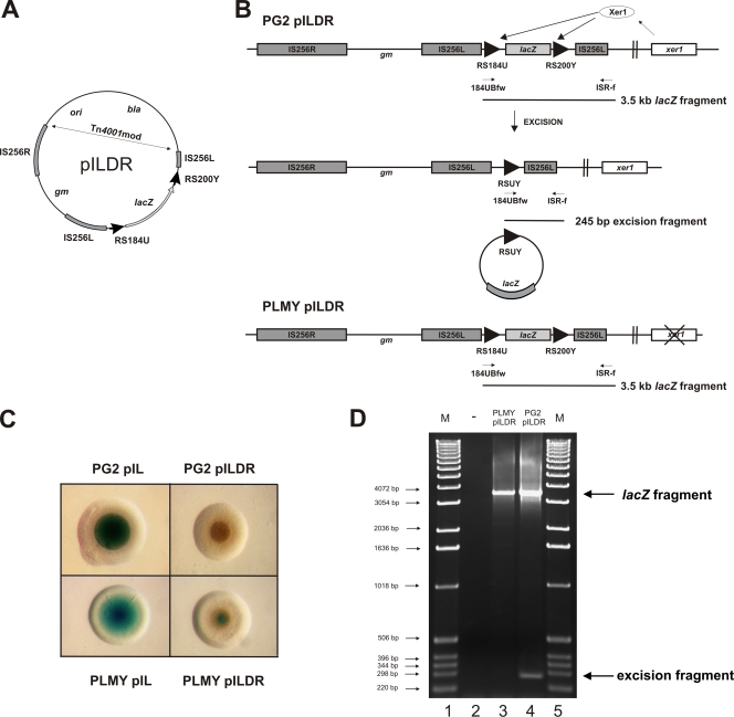 FIG. 6.