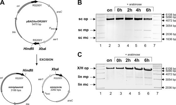 FIG. 3.