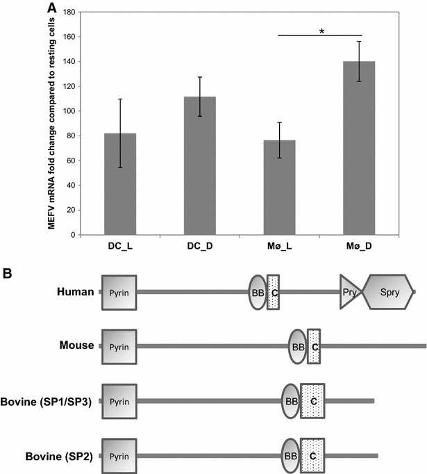 Figure 5