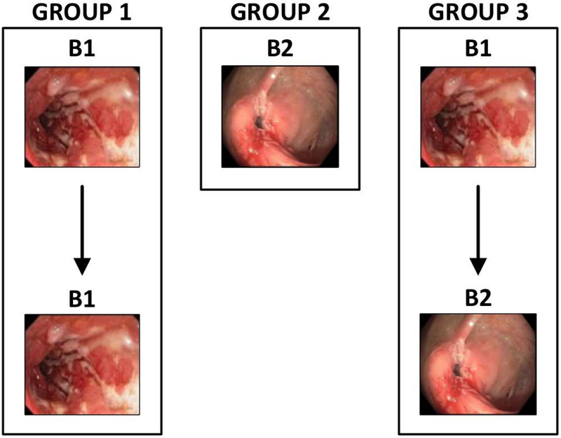 Figure 1: