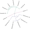 Fig. 3: