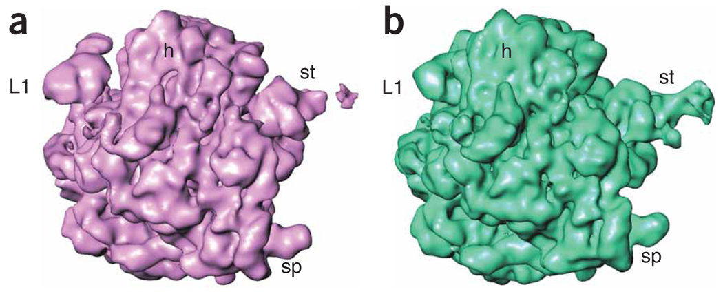 Figure 30