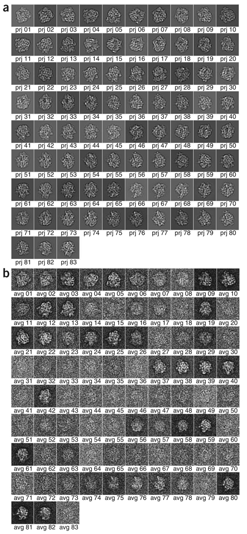 Figure 23