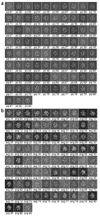 Figure 23