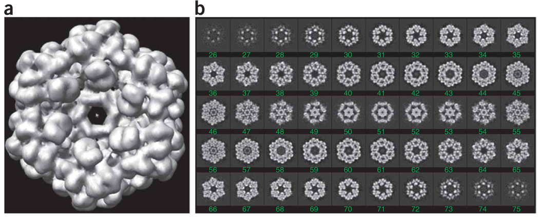 Figure 12