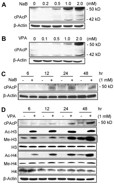 Fig.2