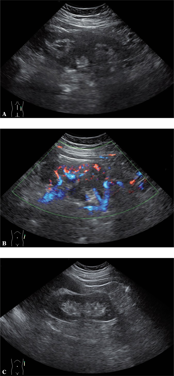 Fig. 5