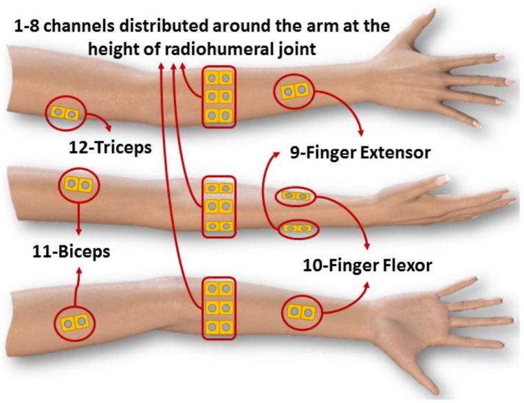 Figure 2