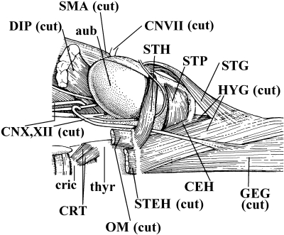 Fig. 11