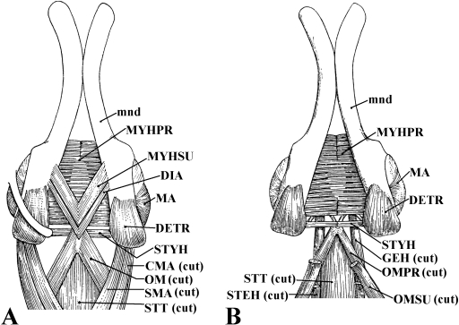 Fig. 9