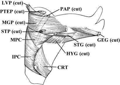 Fig. 15