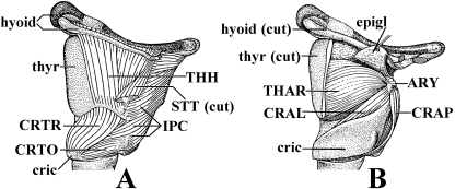 Fig. 17