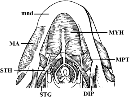 Fig. 16