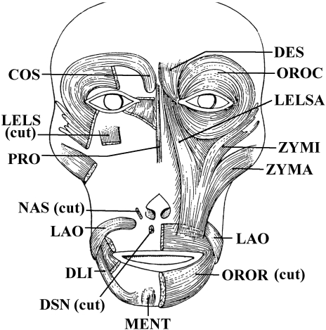 Fig. 14