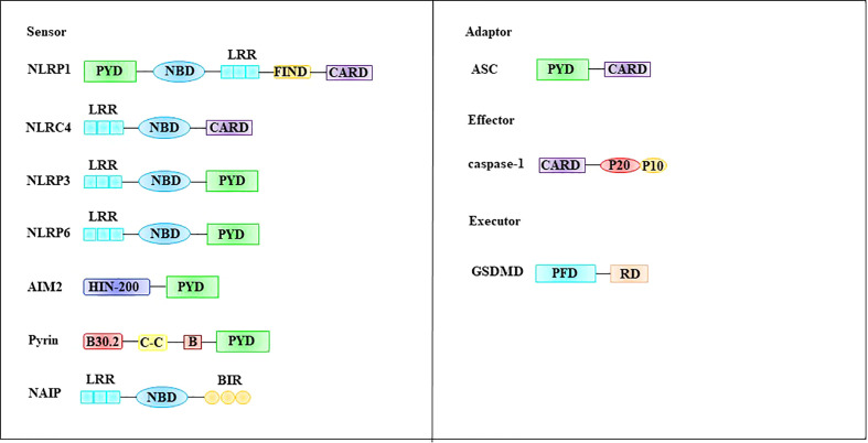 Figure 4